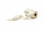 Cinta satinada cruda de 4 cm x 50 m — Tiendas Lupe