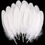 Plumas Blancas 15 cm aprox 100 Grs x Bolsa (500 unidades aprox) en Chile - Tiendas Lupe