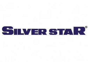 Planchas Industriales a Vapor Silverstar - Tiendas Lupe