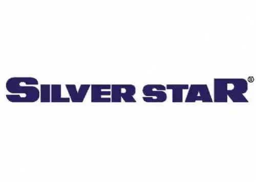 Planchas Industriales a Vapor Silverstar - Tiendas Lupe