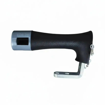 Plancha de Plata Mango Silver Star