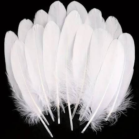 Plumas Blancas 15 cm aprox 100 Grs x Bolsa (500 unidades aprox) en Chile - Tiendas Lupe Imagen principal del producto