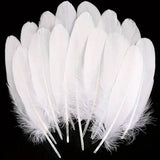Plumas Blancas 15 cm aprox 100 Grs x Bolsa (500 unidades aprox)