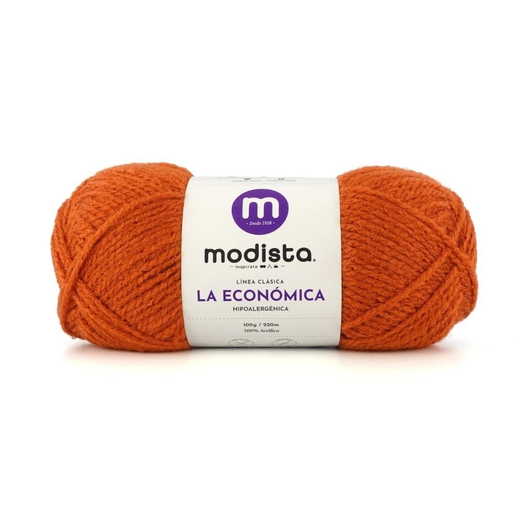 Terracota Lana La Economica Modista 100g - Económica para Tejido Palillo y Crochet